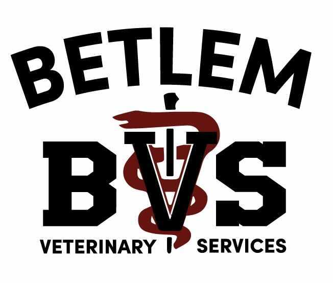 Betlem Veterinary Services